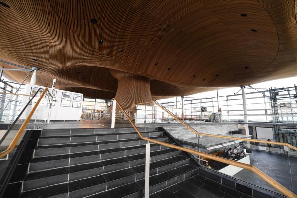 Y tu mewn i Senedd Cymru