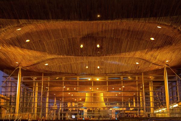 y tu allan i Senedd Cymru
